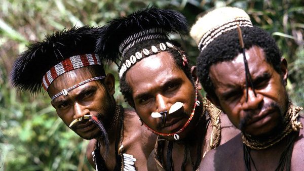 A Summary: Patrolling in Western Papua CHRIS WARRILLOW  
