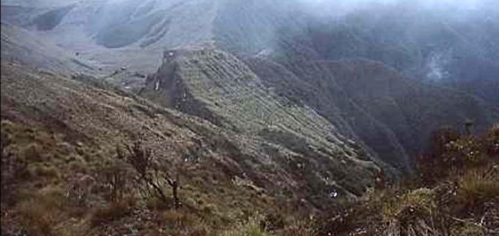 Ples nogut—the tangled spurs and ridges of the alpine grassland high in the Saruwaged Range, 1974 (Photograph by Hector Clark)