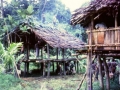 Building a new house in one of the hamlets near May River