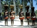 Girls carrying yams from Kwapwapu Village to Oyabia - barefoot over hot coral!