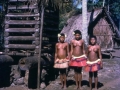 An empty Yam-house is a sad sight in the Trobriands - Okupukopu Village (1967)